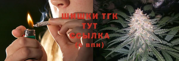 ГАЛЛЮЦИНОГЕННЫЕ ГРИБЫ Аркадак