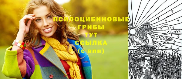 ГАЛЛЮЦИНОГЕННЫЕ ГРИБЫ Аркадак