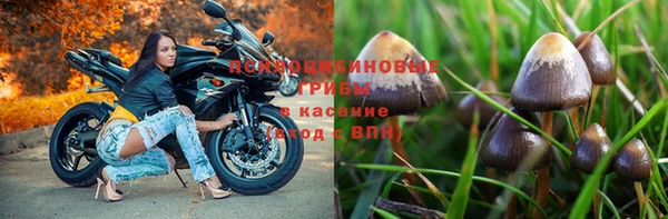кокс Армянск