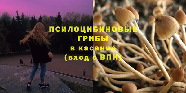 ГАЛЛЮЦИНОГЕННЫЕ ГРИБЫ Аркадак