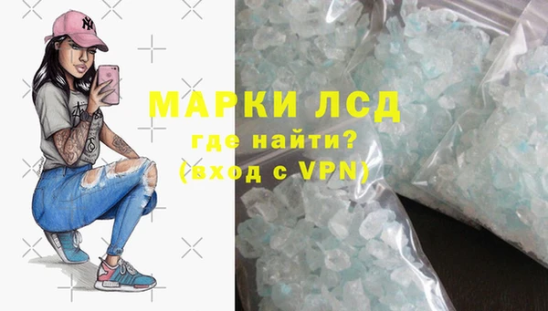 ГАЛЛЮЦИНОГЕННЫЕ ГРИБЫ Аркадак