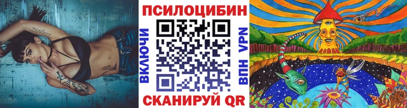 как найти наркотики Новоаннинский Галлюциногенные грибы Psilocybine cubensis